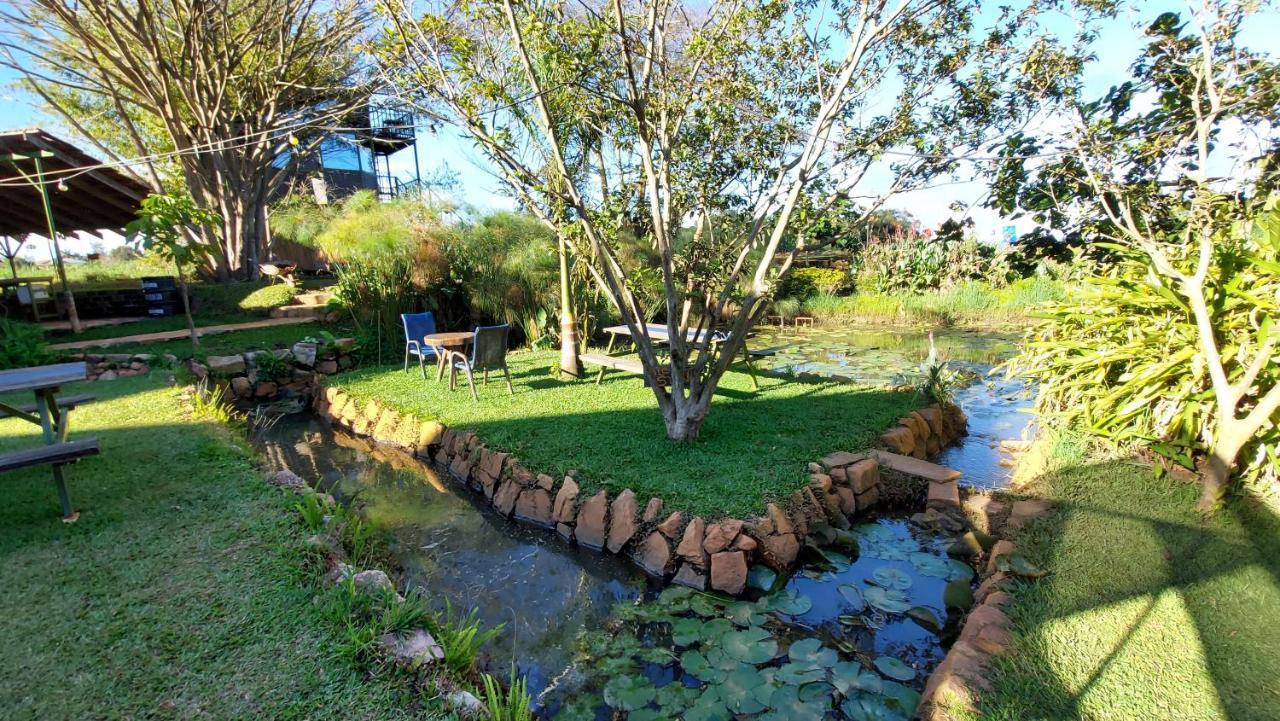 Yellow Haven Lodge كامبالا المظهر الخارجي الصورة
