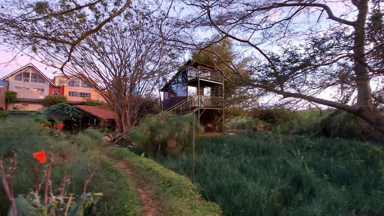 Yellow Haven Lodge كامبالا المظهر الخارجي الصورة