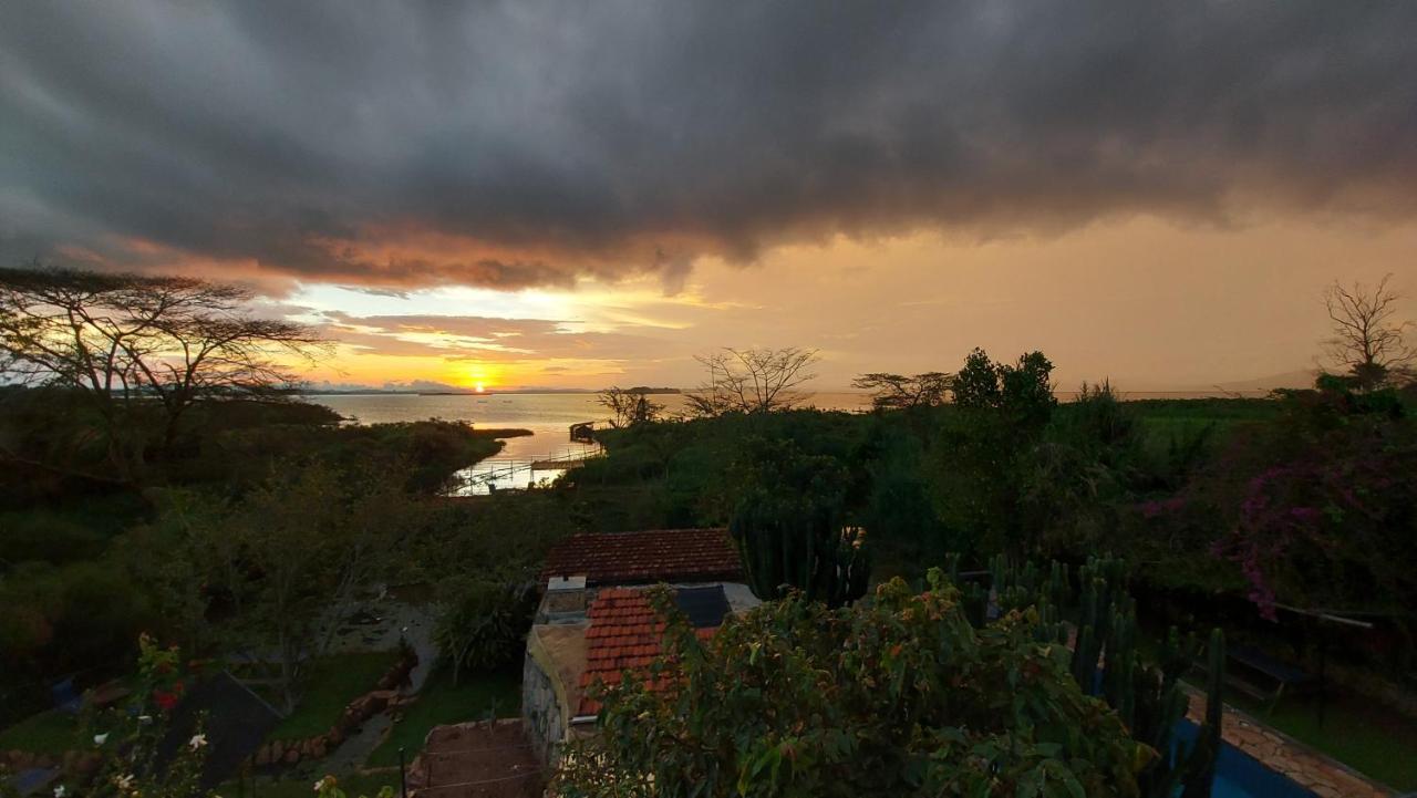 Yellow Haven Lodge كامبالا المظهر الخارجي الصورة