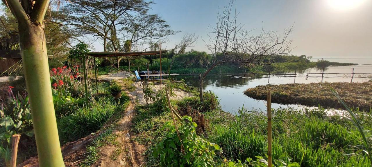 Yellow Haven Lodge كامبالا المظهر الخارجي الصورة