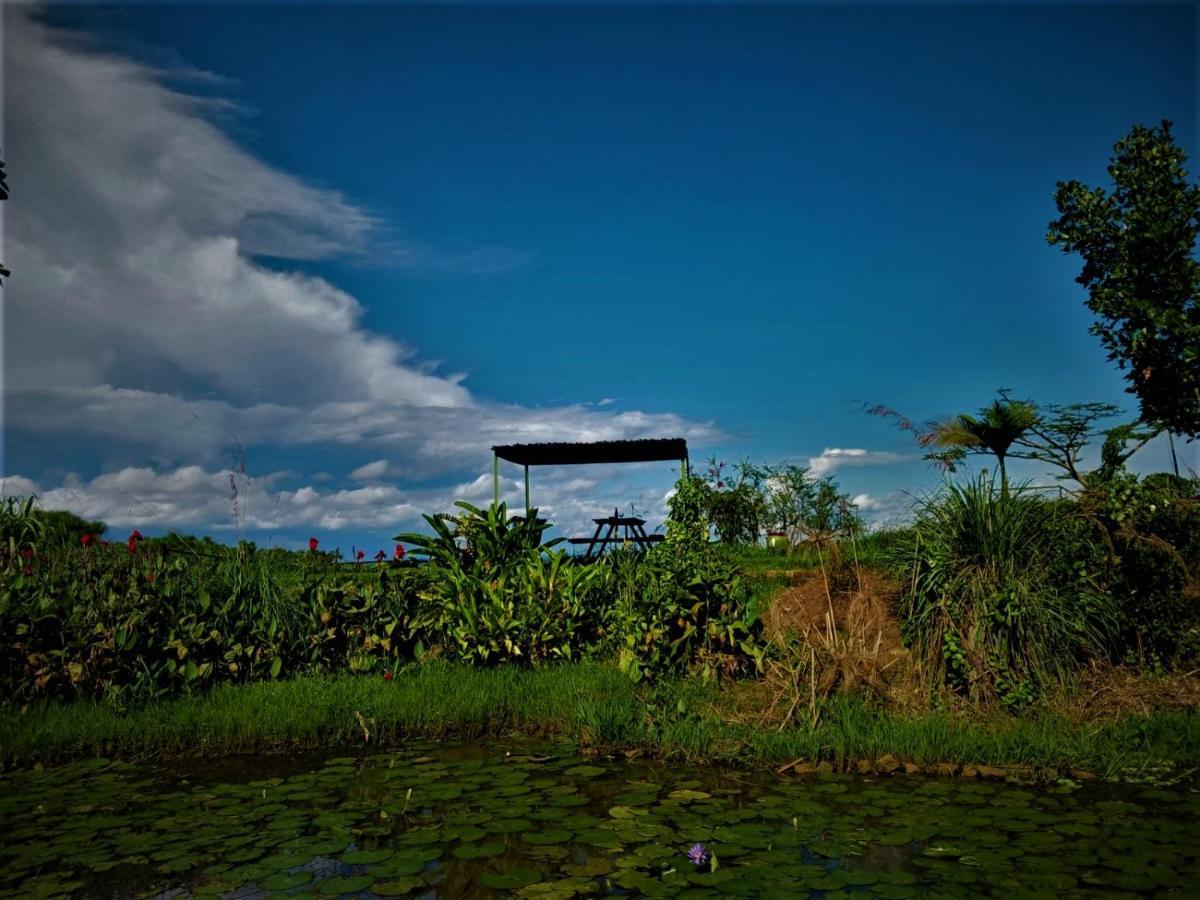 Yellow Haven Lodge كامبالا المظهر الخارجي الصورة
