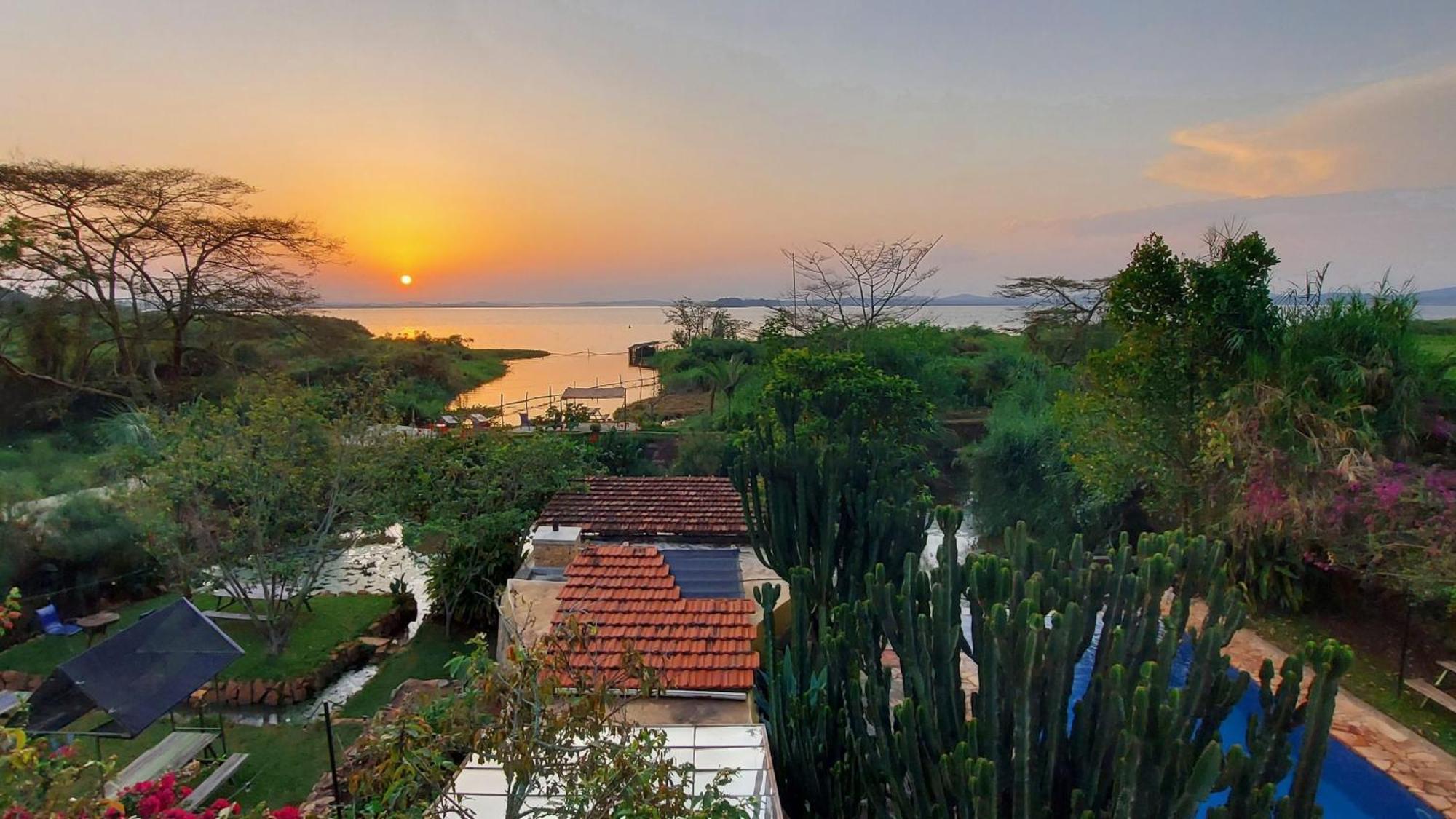Yellow Haven Lodge كامبالا المظهر الخارجي الصورة