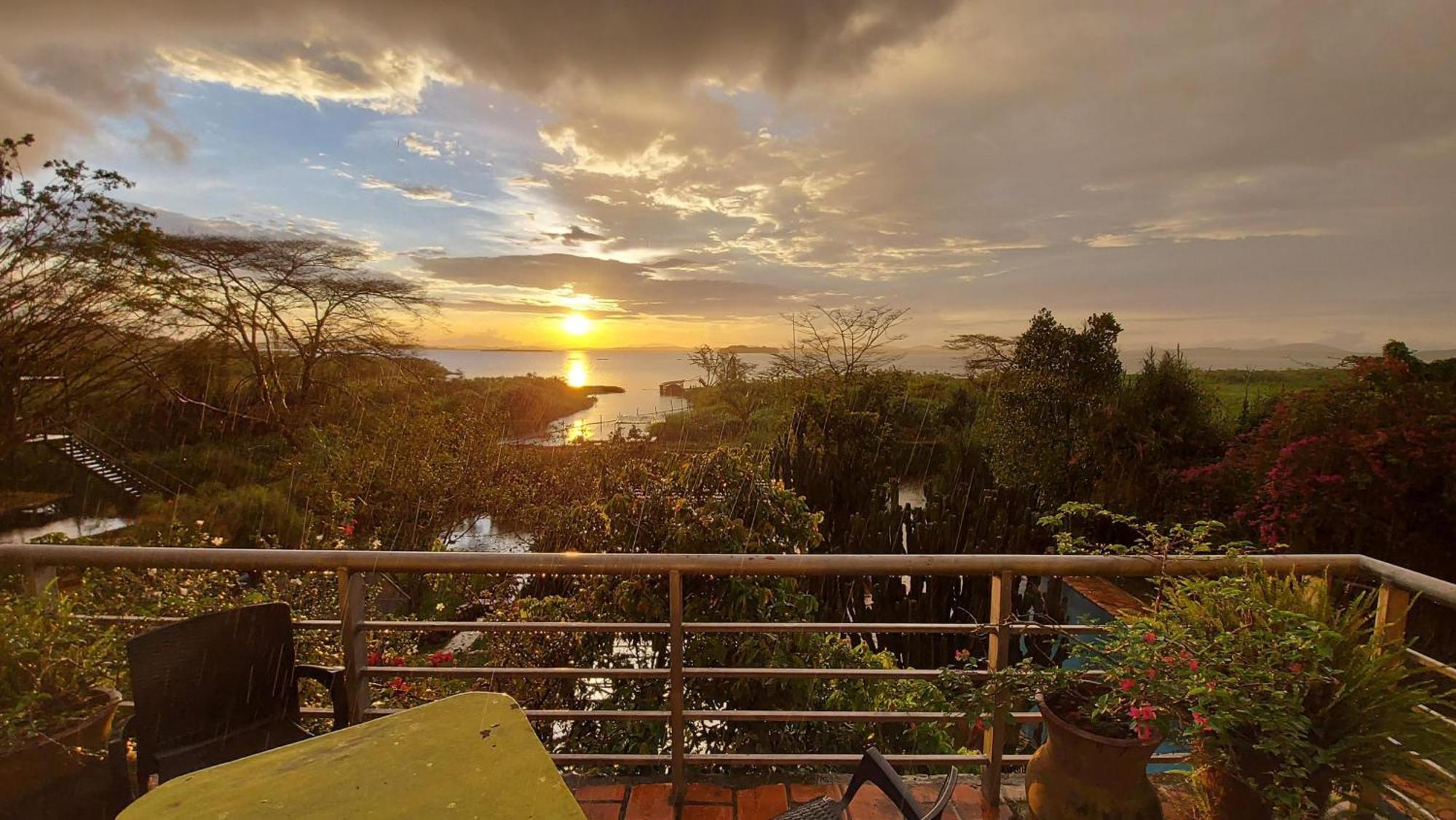 Yellow Haven Lodge كامبالا المظهر الخارجي الصورة