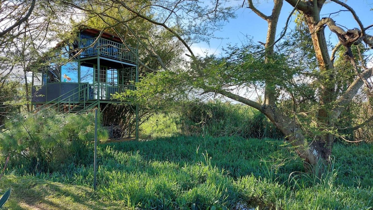 Yellow Haven Lodge كامبالا المظهر الخارجي الصورة