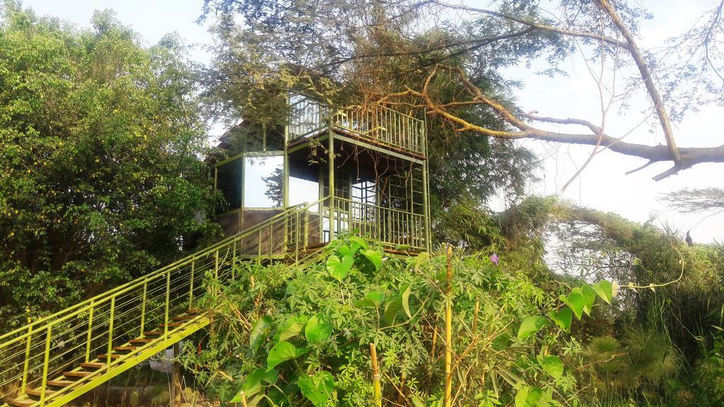 Yellow Haven Lodge كامبالا المظهر الخارجي الصورة